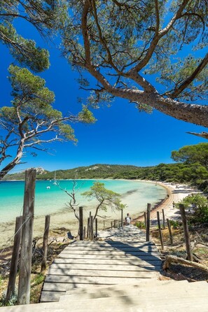 A wooden pathway leading to a beach with clear turquoise water and green trees.
