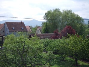 Property grounds - Bed and Breakfast Clos des Pommiers in Rosheim in Alsace (Rosheim)