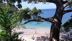 Una spiaggia con persone che prendono il sole e nuotano, circondata da alberi e acqua cristallina.