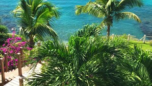 Vista sulla costa con palme e un pontile di legno che si affaccia sul mare.