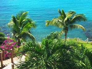 Property grounds - Luxury apartment, magnificent panorama and direct access to the sea. (Le Diamant)