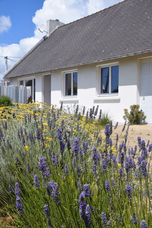 A white house with a grey roof, surrounded by a garden with lavender and yellow flowers.