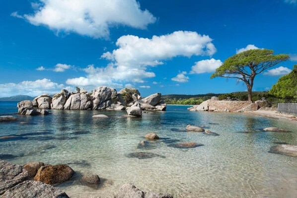 Enjoy the serene coastal landscape with clear waters, rocks, and a lush tree.