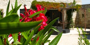 Explore a serene setting surrounded by lush greenery and vibrant flowers, with a historic stone building in the background.