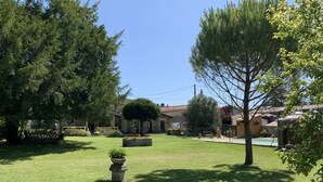 A well-maintained garden with a lawn, a small pond, and a variety of trees. - Private garden, swimming pool, picturesque village location, bank, bakery (saint fort sur gironde)
