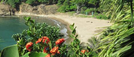 Una spiaggia nelle vicinanze