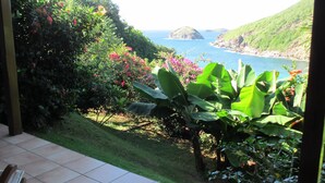Ein Garten mit tropischen Pflanzen und Blick aufs Meer.