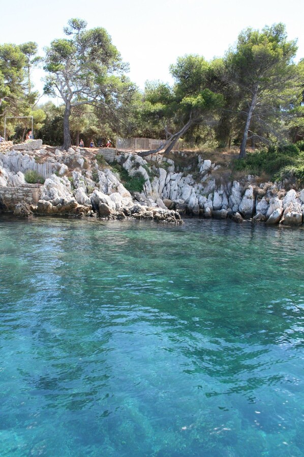 A rocky shoreline with clear water and trees.