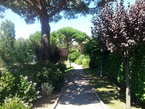 Parco della struttura