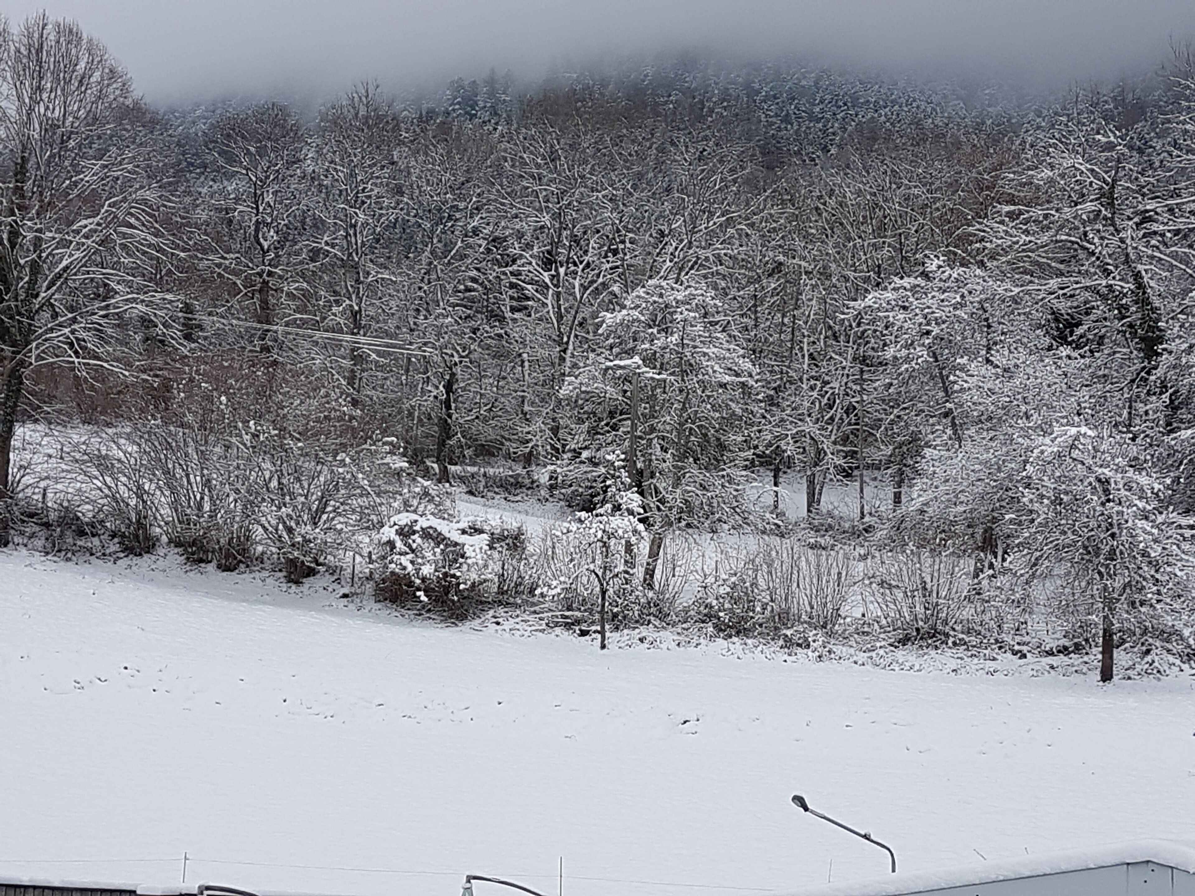 Snow and ski sports