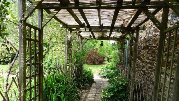 Une pergola en bois avec un chemin en béton qui traverse un jardin.