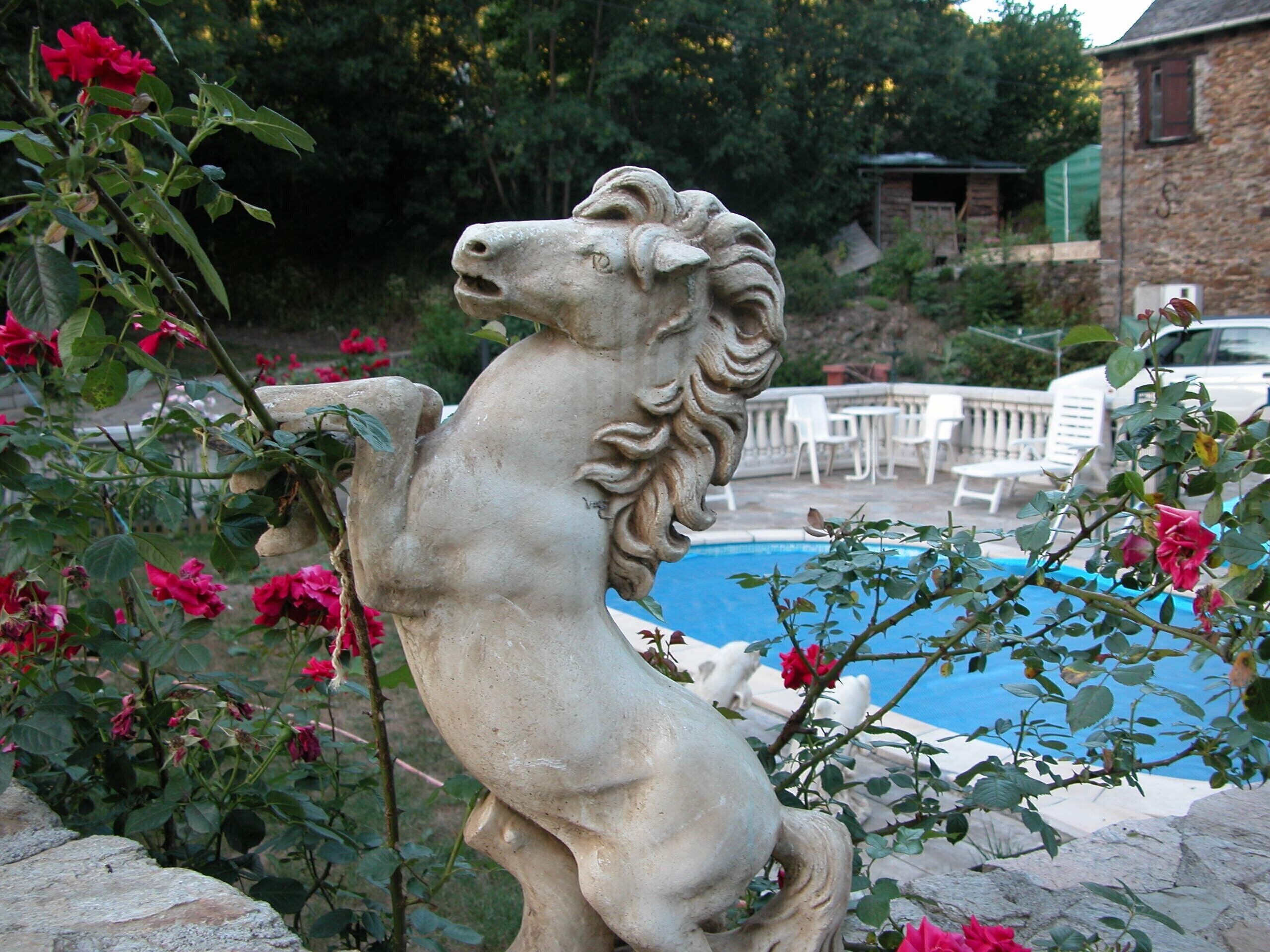 Terrein van de accommodatie