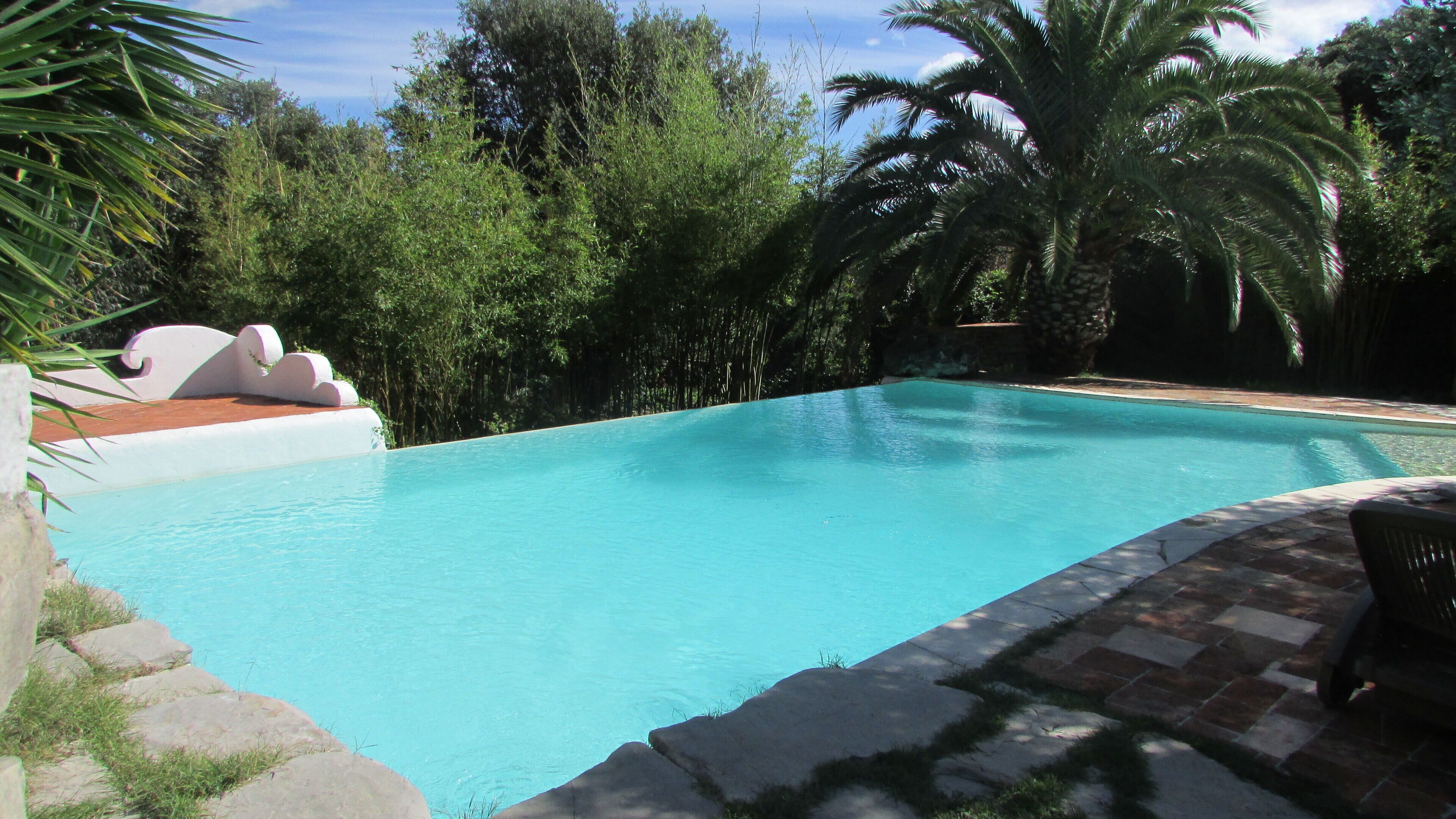 Una piscina rodeada de abundante vegetación y palmeras.