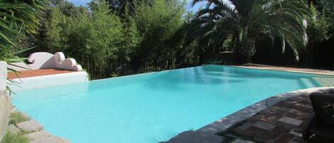 Una piscina rodeada de abundante vegetación y palmeras.