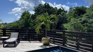 Una piscina azul cristalina con una cubierta de madera, una silla de descanso y una palmera.