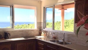 Una cocina con armarios de madera, un lavamanos de acero inoxidable y un lavavajillas. Hay ventanas con vistas al océano y vegetación.