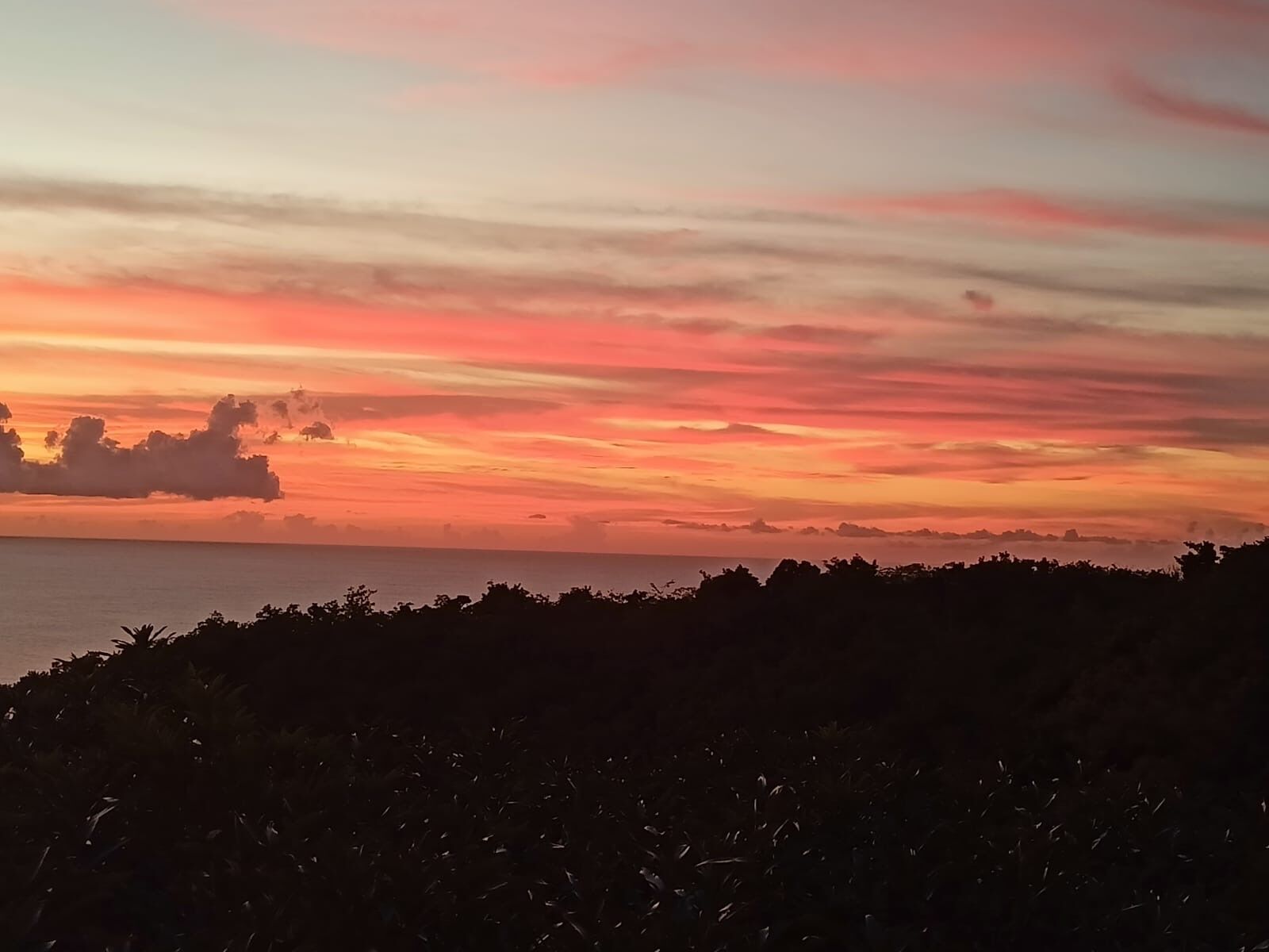 Atardecer sobre un paisaje costero con siluetas de árboles y cielo despejado.