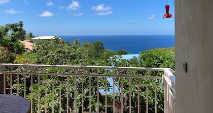 Maison avec piscine vue mer dans un jardin arboré aux Anses d'Arlet