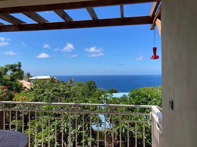 House with swimming pool with sea view in a garden with trees in Anses d'Arlet