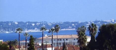 A coastal residential area with houses, palm trees, and a beach in the background.