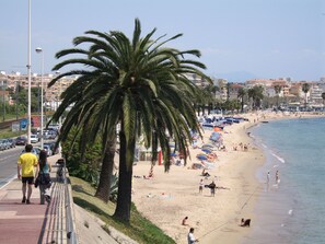 A beach with palm trees, a promenade, and a cityscape in the background.