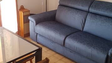 TV, DVD player, books, music library