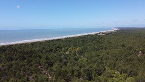Un área costera con bosque, playa y océano.