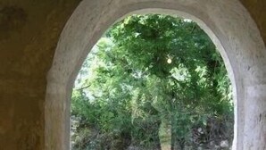 Ein Rundbogenfenster aus Stein mit Blick auf ein bewaldetes Gebiet.