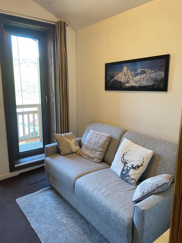 TV, DVD player, books