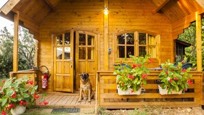 Eine Holzblockhütte mit Veranda, davor ein Hund und Blumentöpfe.