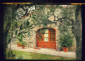 A stone building with a wooden door and potted plants. - The Bricks's Oven (Capannori)