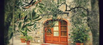 The Bricks's Oven