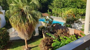 Una piscina rodeada de exuberante vegetación y un puente de madera.