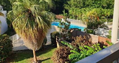 Urlaub unter Kokospalmen Ferienanlage Ultramarine Diamant Martinique