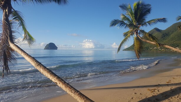 Una playa con palmeras, agua tranquila y una isla en la distancia.