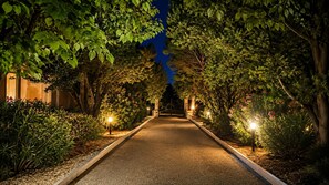 Un chemin bord é d’arbres et éclairé par des lampadaires, qui mène à un bâtiment.