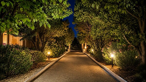 Un camino bordeado por árboles e iluminado por farolas, que conduce a un edificio.