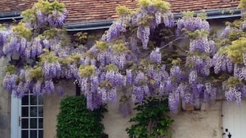 Details aan de buitenkant