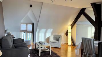 Televisie, een dvd-speler, tafelvoetbal en een tafeltennistafel