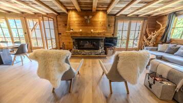 TV connectée, cheminée, livres, vidéothÚque