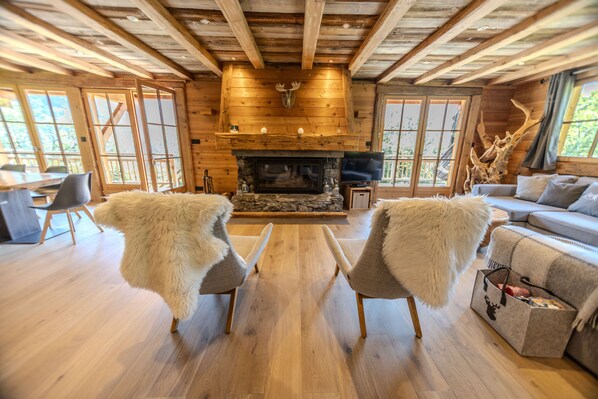 TV connectée, cheminée, livres, vidéothèque