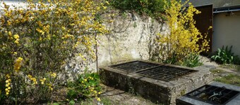 Mellem Loire og Vines