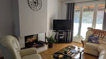 Télévision, cheminée, console de jeux vidéo, lecteur de DVD