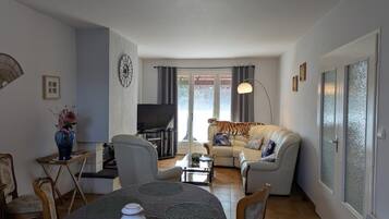 Télévision, cheminée, console de jeux vidéo, lecteur de DVD