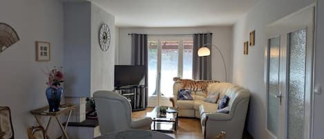 TV, fireplace, video-game console, DVD player