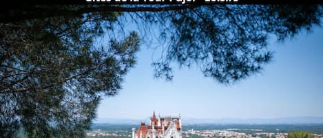 A castle-like building surrounded by trees and a view of a town in the background.