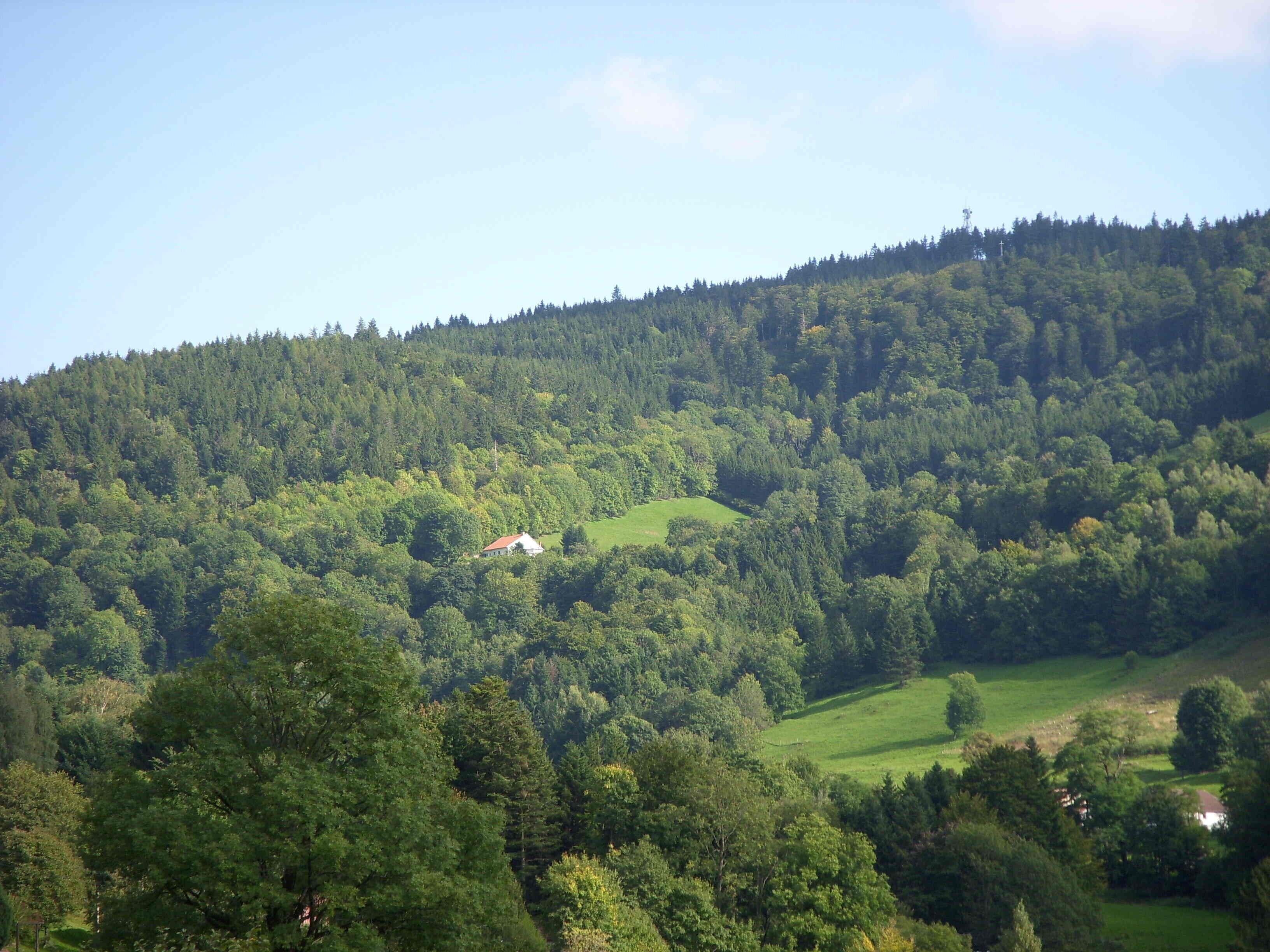 A rural landscape with a house surrounded by dense forest and rolling hills.