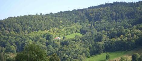 A rural landscape with a house surrounded by dense forest and rolling hills.