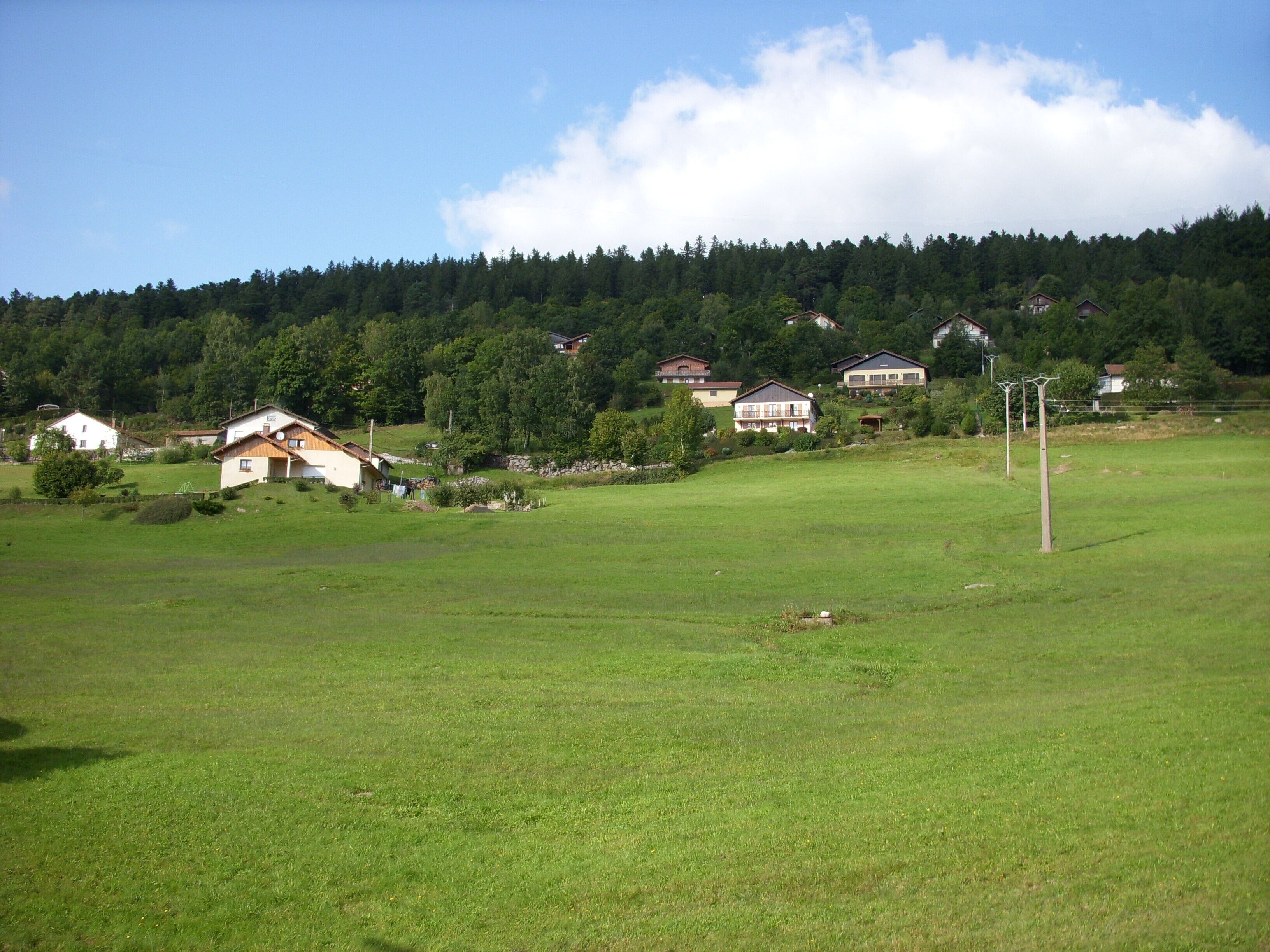 Un paysage rural avec des maisons, un champ herbeux et une colline boisée.
