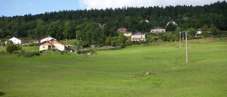 Un paysage rural avec des maisons, un champ herbeux et une colline boisée.